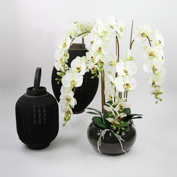 Artificial Orchids Melbourne